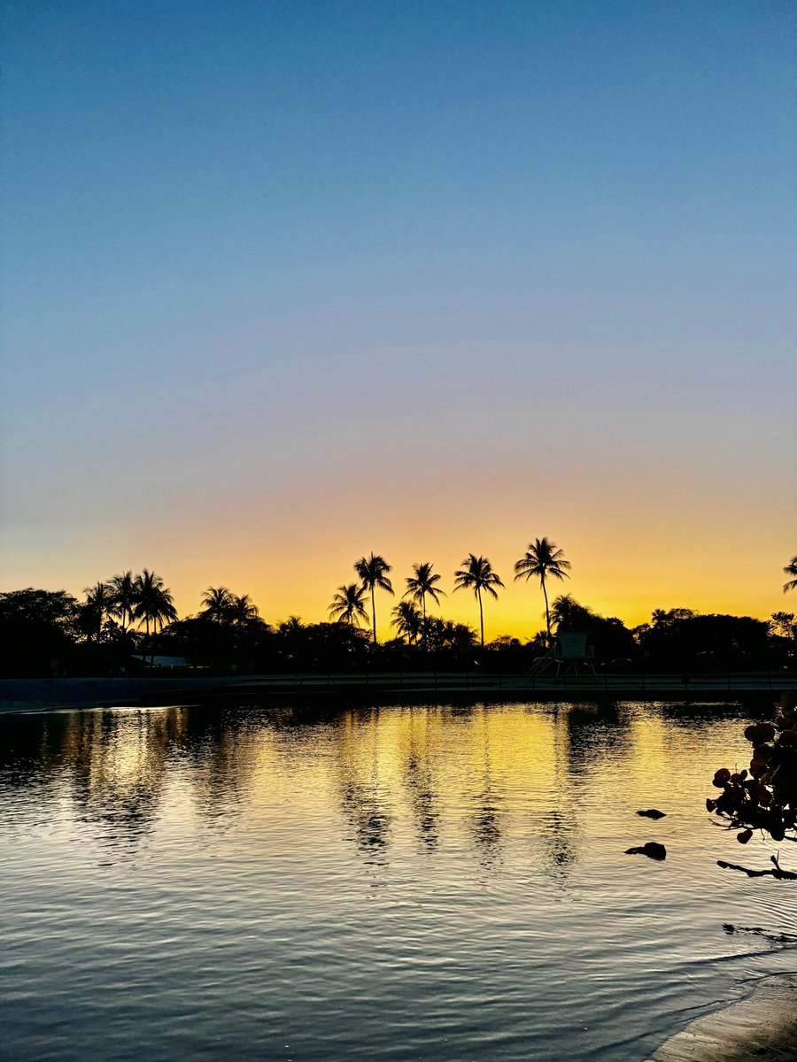 SocietyOfTAP's tweet photo. Today’s member’s perspective is from Jupiter, Florida #turkishamericanphysicians
#STAP
#unity https://t.co/XyV5igY8NE