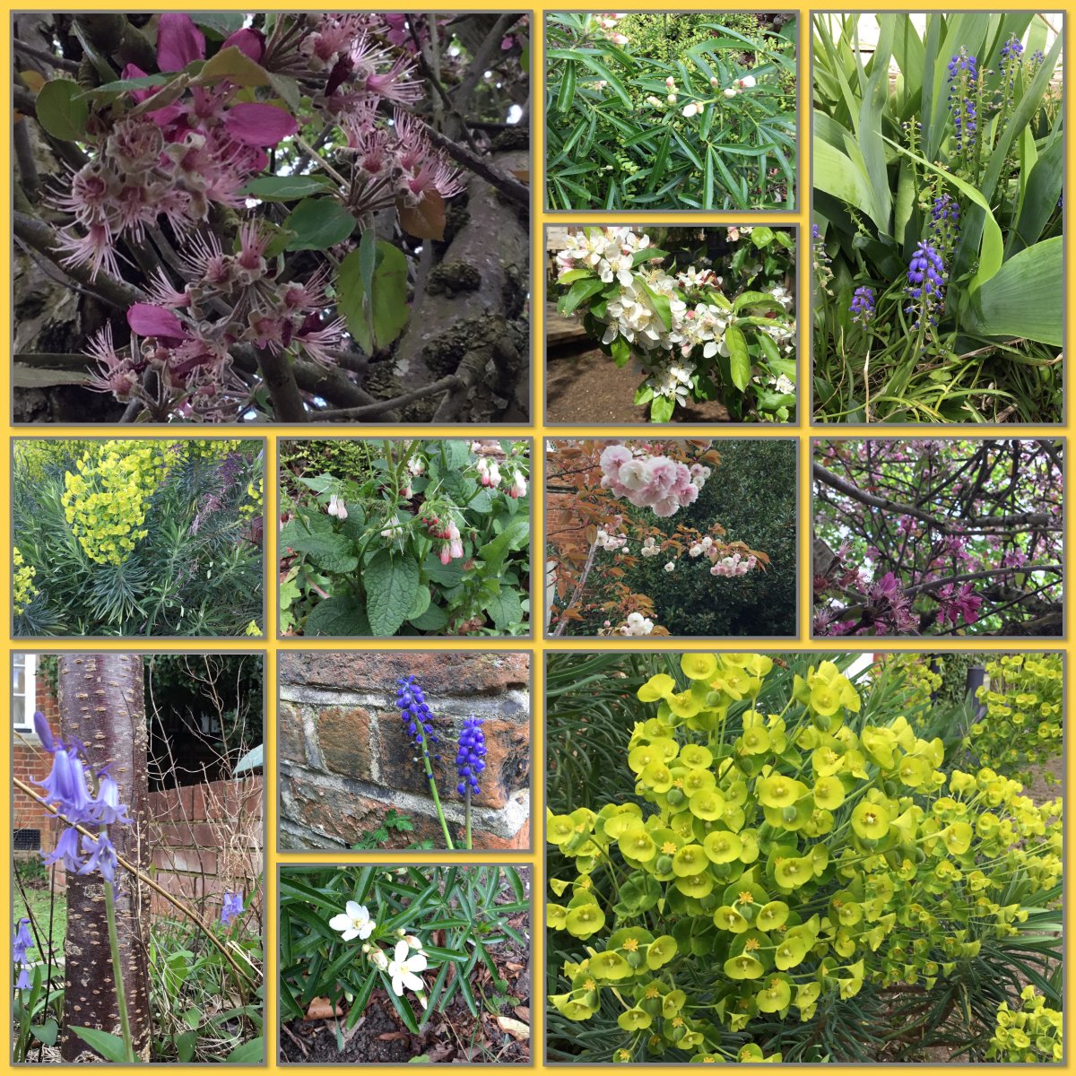 We have so many signs of spring in the garden at the minute and although the weather hasn't been great, hopefully we'll get some warmer weather soon!!
#signsofspring #warmerweatheriscoming #inspiringcuriosity #eyfs #comperschool #compernurseryschool #Outdoorplay