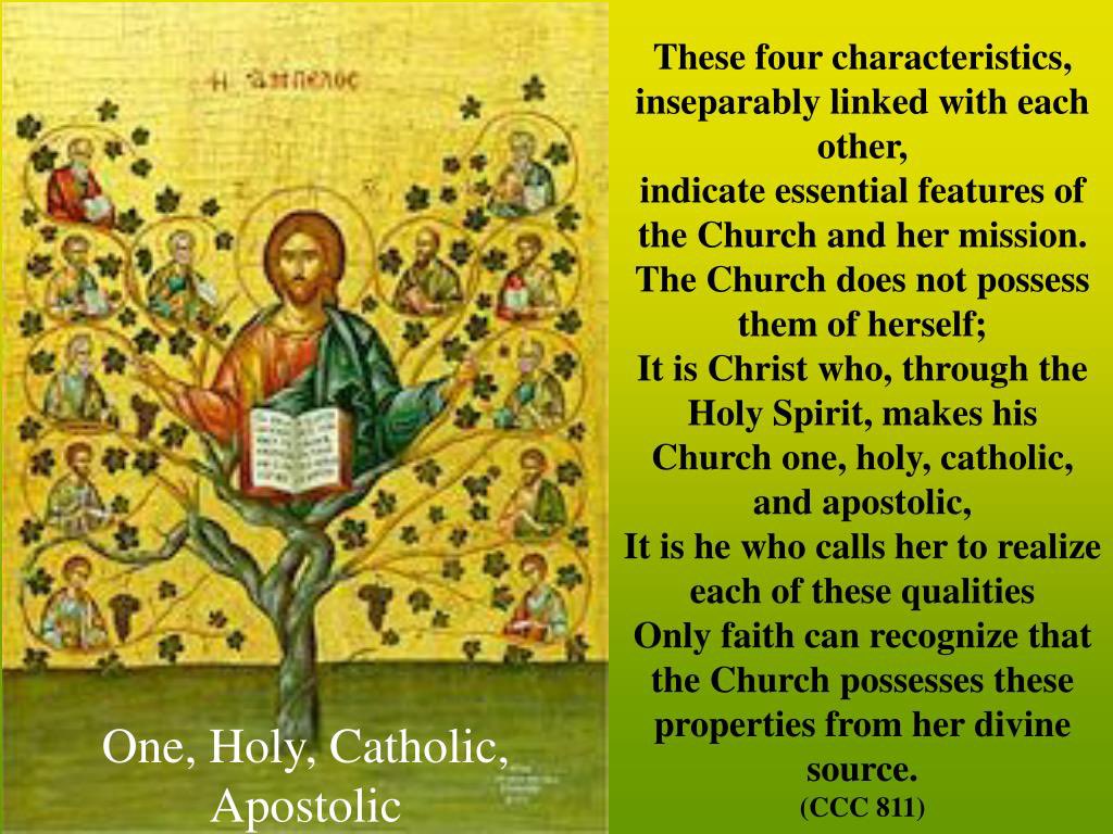 The Church: One, Holy, Catholic, and Apostolic The Church is described as having four essential features: one, holy, catholic, and apostolic (see CCC 811 and Lumen Gentium, art. 81). What are these four essential features, and what do they mean?  One: The Church is one