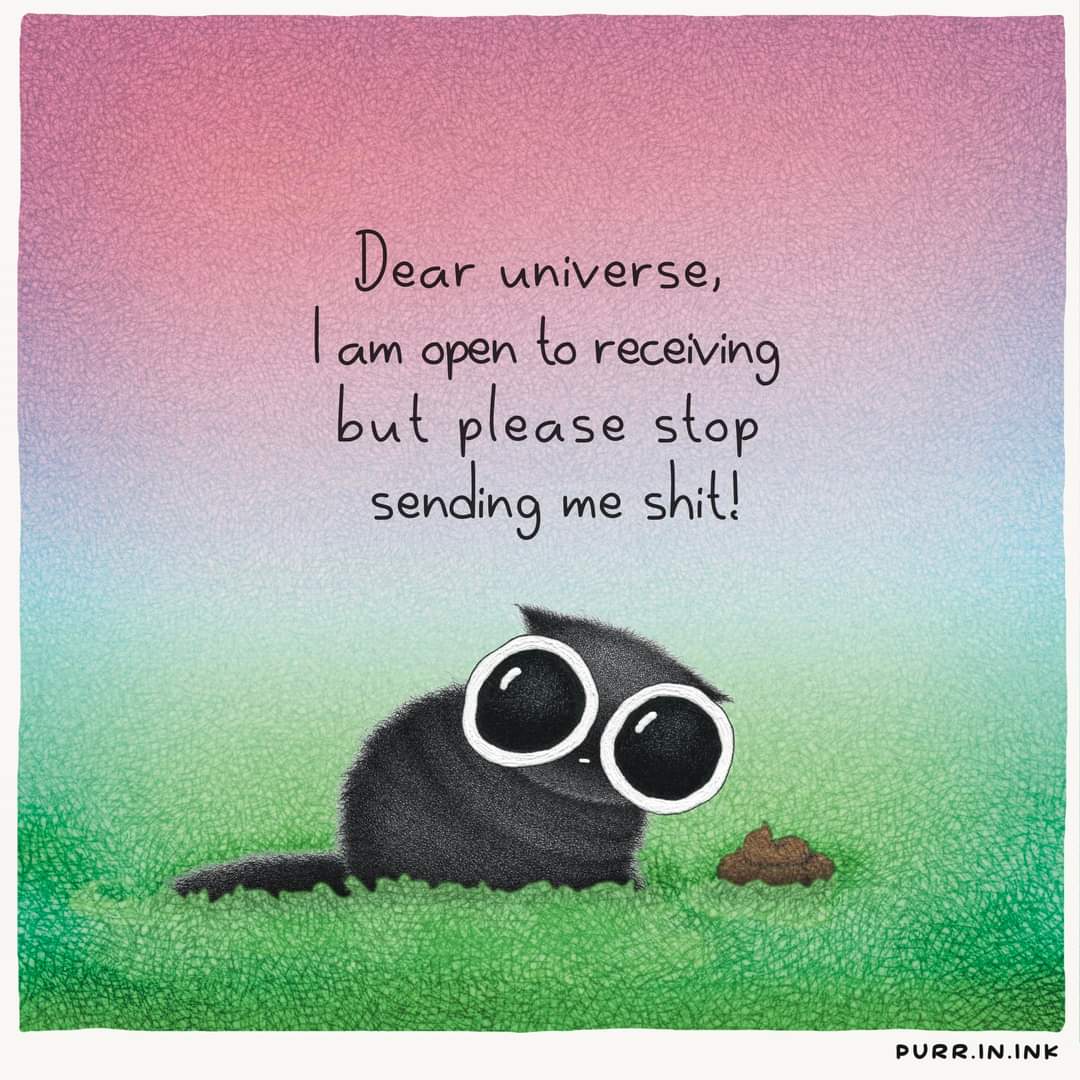purrinink's tweet photo. 🐈‍⬛🖤 https://t.co/9jlrGGkcbX