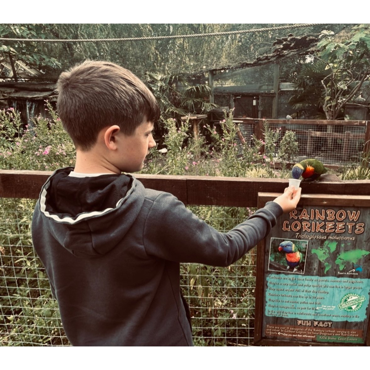 Sophie Robinson tweet media