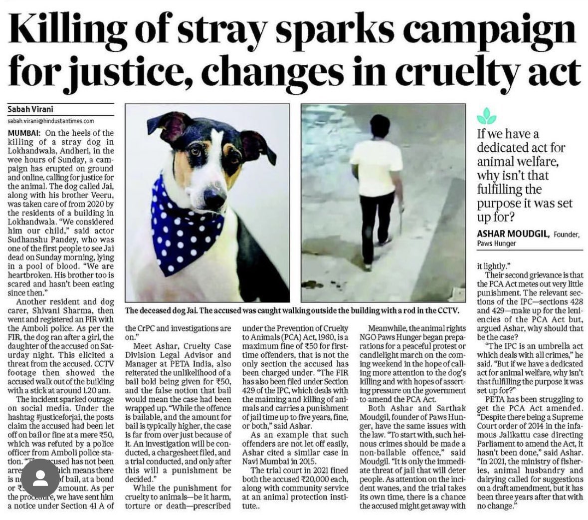 A dog who was beaten to death by a flat owner in a posh locality in Andheri West Mumbai. Run free sweet child 💔 Laws need to be strengthened so that perpetrators r punished severely for harming innocent souls. Read and share 👇🙏

 #justiceforjai