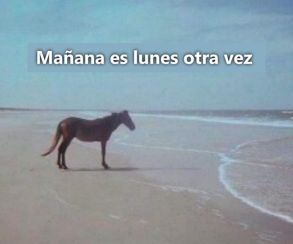 Mañana es lunes otra vez.