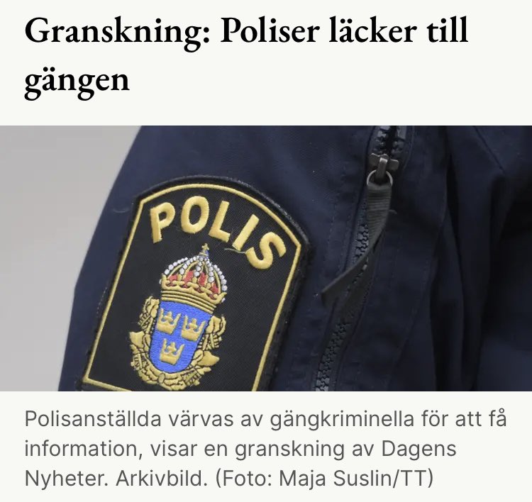 En polis tjänar ca 30k i månaden.
En medelhögt uppsatt gäng-kriminell drar kanske in runt miljonen?
När kriminaliteten är starkare och fler än polisen, då blir det som i Mexico. Det lönar sig att gå över på andra sidan.
Det är där vi är nu - vi skördar vinsterna av draksådden.