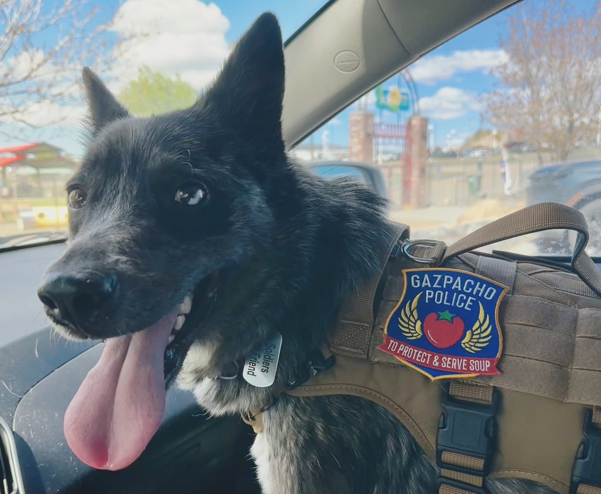 Sergeant Bruce of the Drooling K9s reporting for duty. <a href="/DissentPins/">Dissent Pins</a> dissentpins.com/products/gazpa…