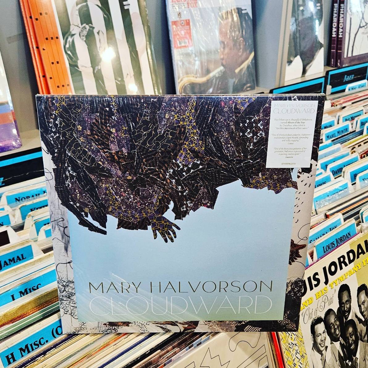 'Cloudward,' the latest album from jazz guitarist & composer Mary Halvorson, is brimming with breathtaking spontaneity, warm passages, and unique rhythms. 'Cloudward' is out now on CD and vinyl via @NonesuchRecords. Get it here: bit.ly/3xSgbcv