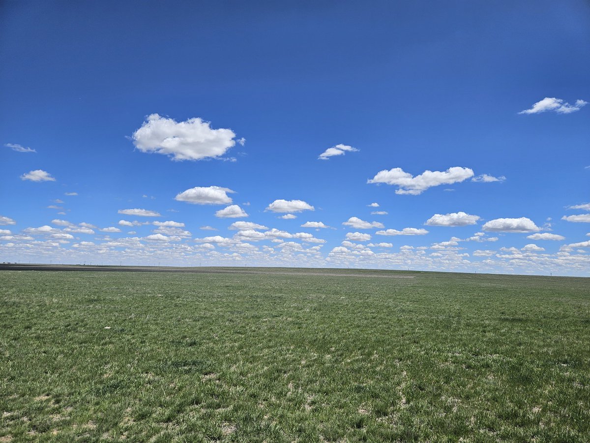 Hey brother This is what a West Texas sky looks like over grasslands that have been here for 1000's of years. It's a rare occurrence lately because they turn our skies grey half the time. #BeefIntelligence