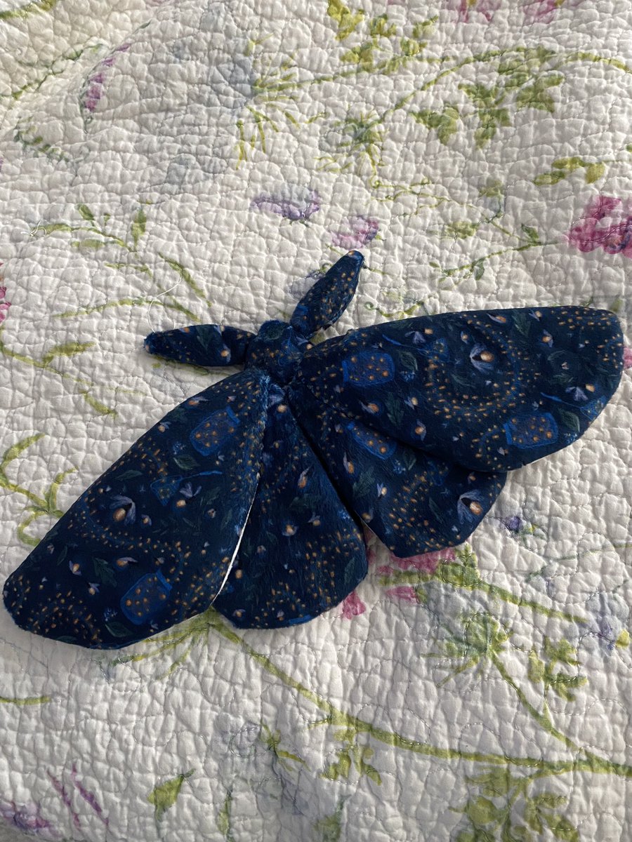 Made this moth from @beezeeart moth pattern using @thestorysmith Catching Fireflies fabric in minky from @spoonflower . The pattern was great! Instructions perfect and easy to follow. I love this print in cotton and I love it more in minky.