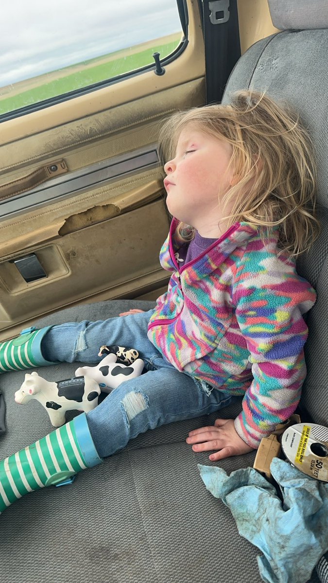 Checking cows and hunting for tractors is hard work.