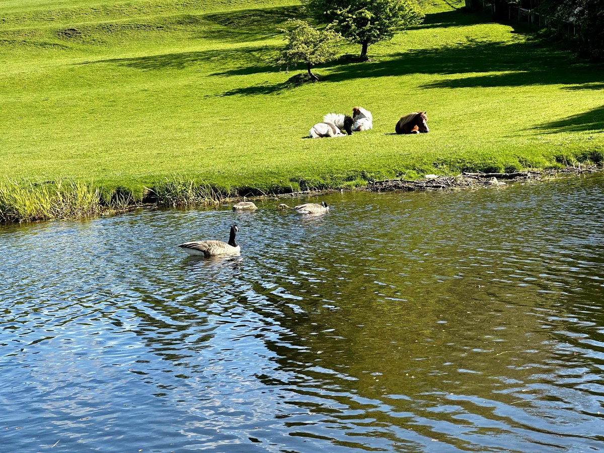 A walk along Lancaster Canal #QuintessentiallyEnglish