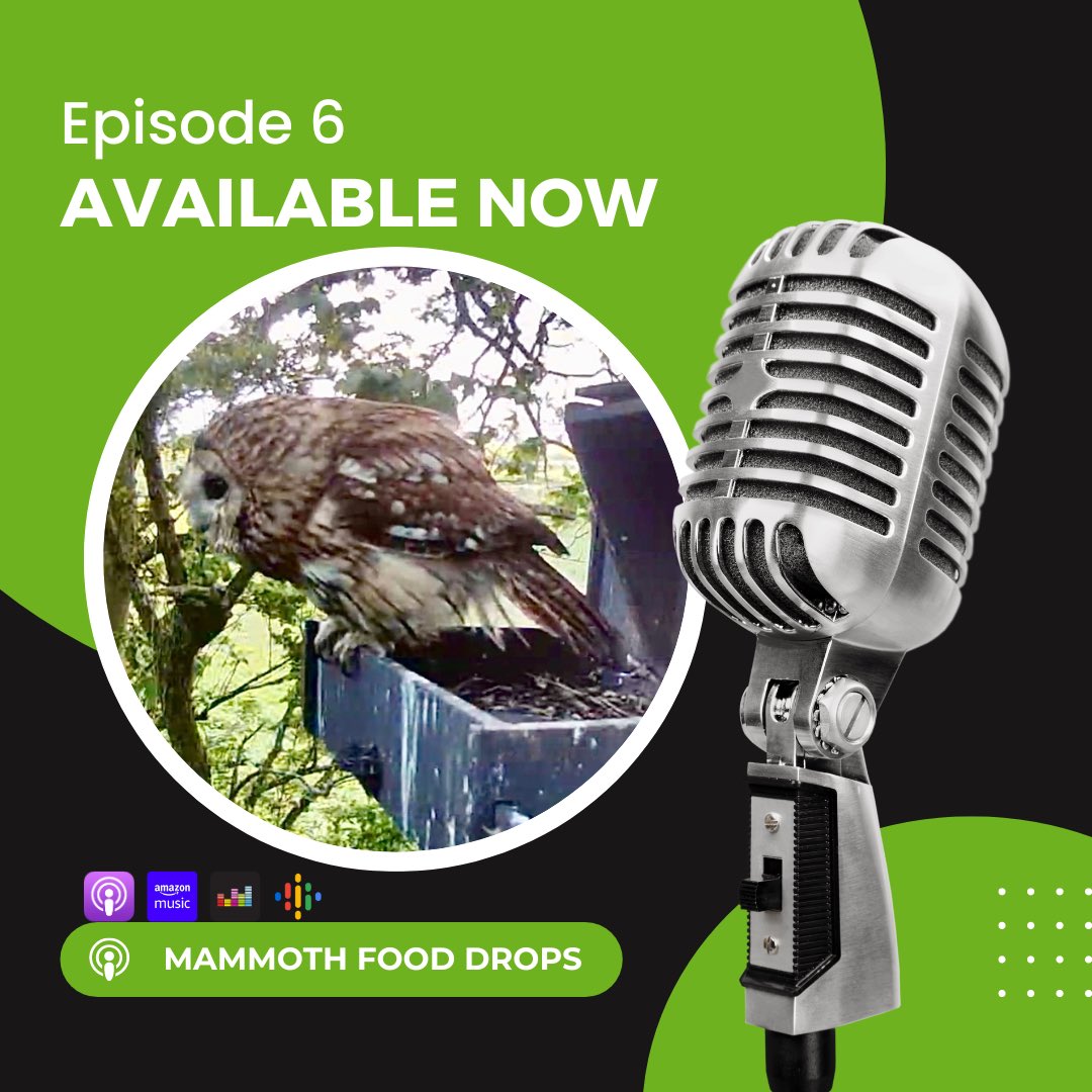 Catastrophic failure aside - this week’s podcast episode is available NOW! Thankfully recorded at the end of the week! Listen online (or through the #podcast app of your choice!) laurelswood.podbean.com Hope you enjoy it! #nature #wildlife