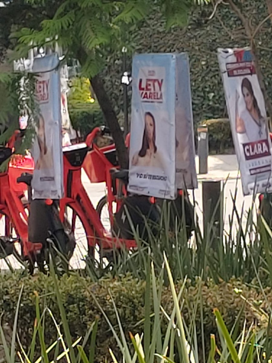 MorriganA0's tweet photo. 🚨Atención:

@LetyVarela y @ClaraBrugadaM cuelgan propaganda en árboles de Benito Juárez ilegalmente.  Queda claro que ellas lideran el grupo delictivo electoral

#HijosdeMx https://t.co/ZuYULcQG4P