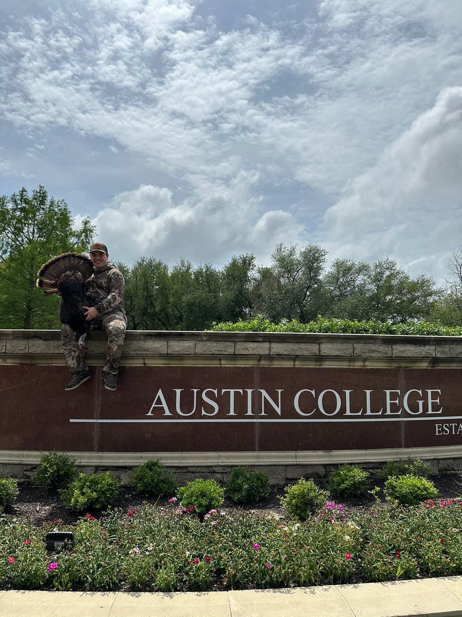 Austin college located in Sherman Tx. East Texas bird