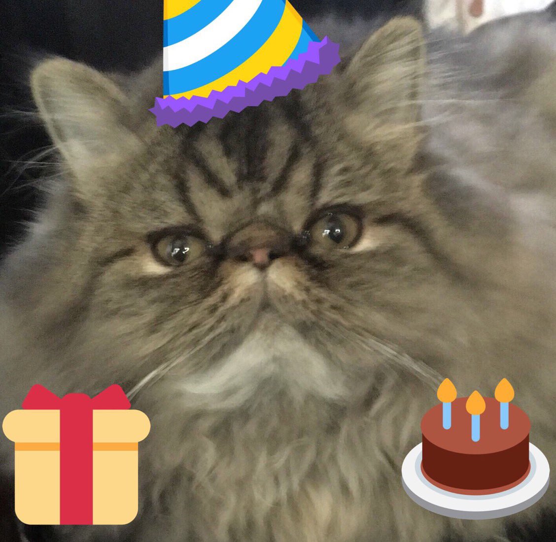 JethroKitty 🧡💜Cleo Love 🌈RIP tweet media