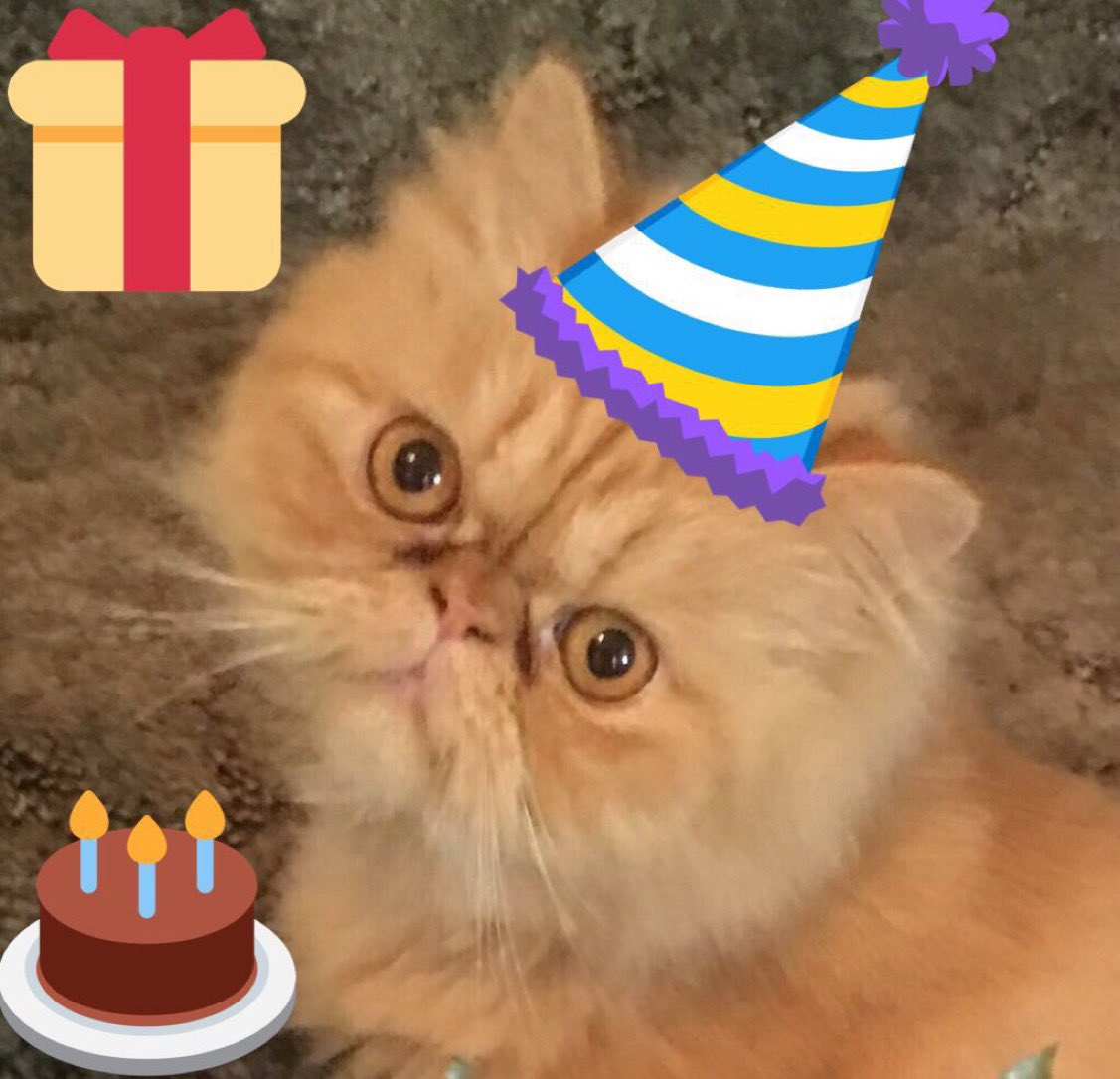 JethroKitty 🧡💜Cleo Love 🌈RIP tweet media