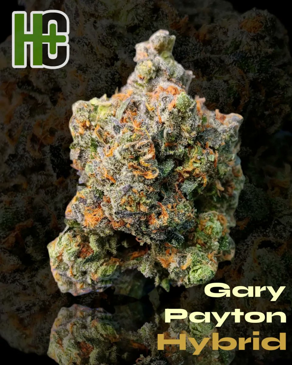 HempConnectKnox's tweet photo. This Gary Payton is out of this world ๐๐ฅ๐
#THCA #THC #CANNABIS #CannabisCommunity #HEMP #LEGALCANNABIS #LEGALTHC https://t.co/CdfUTwlje0