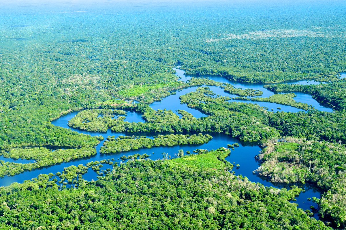 🌲 The Amazon rainforest produces about 20% of the earth’s oxygen. Deforestation there affects air quality worldwide. #AmazonRainforest #SaveTheEarth