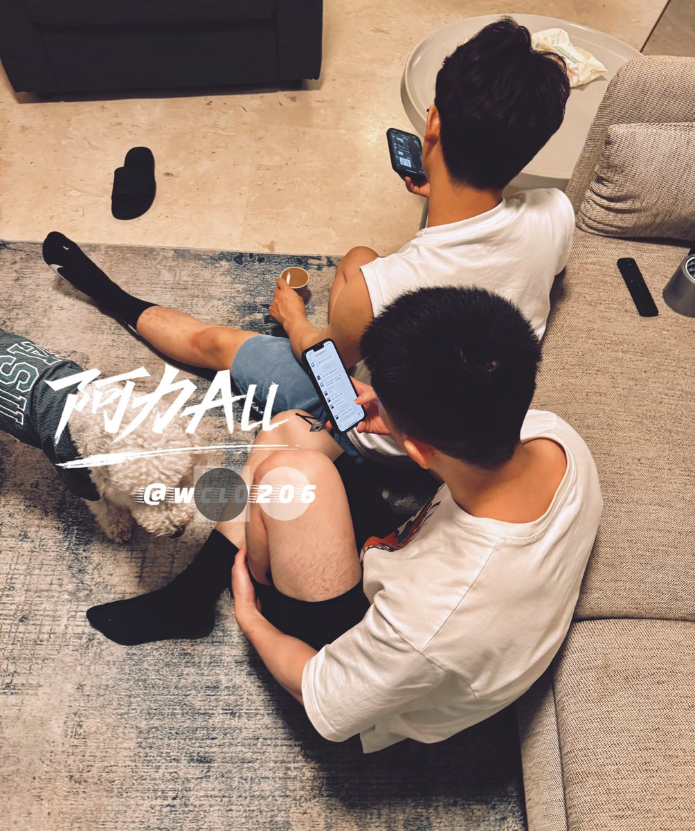 两只狗狗很有cp感