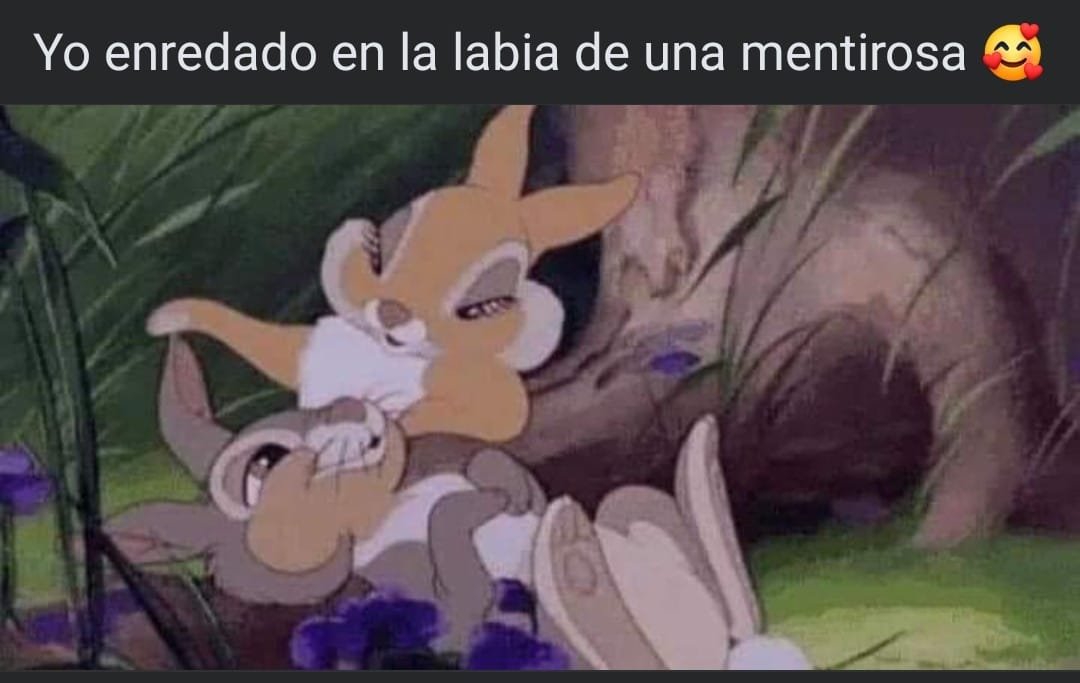 Bandidosfrasess's tweet photo. https://t.co/uYGxuM9y63