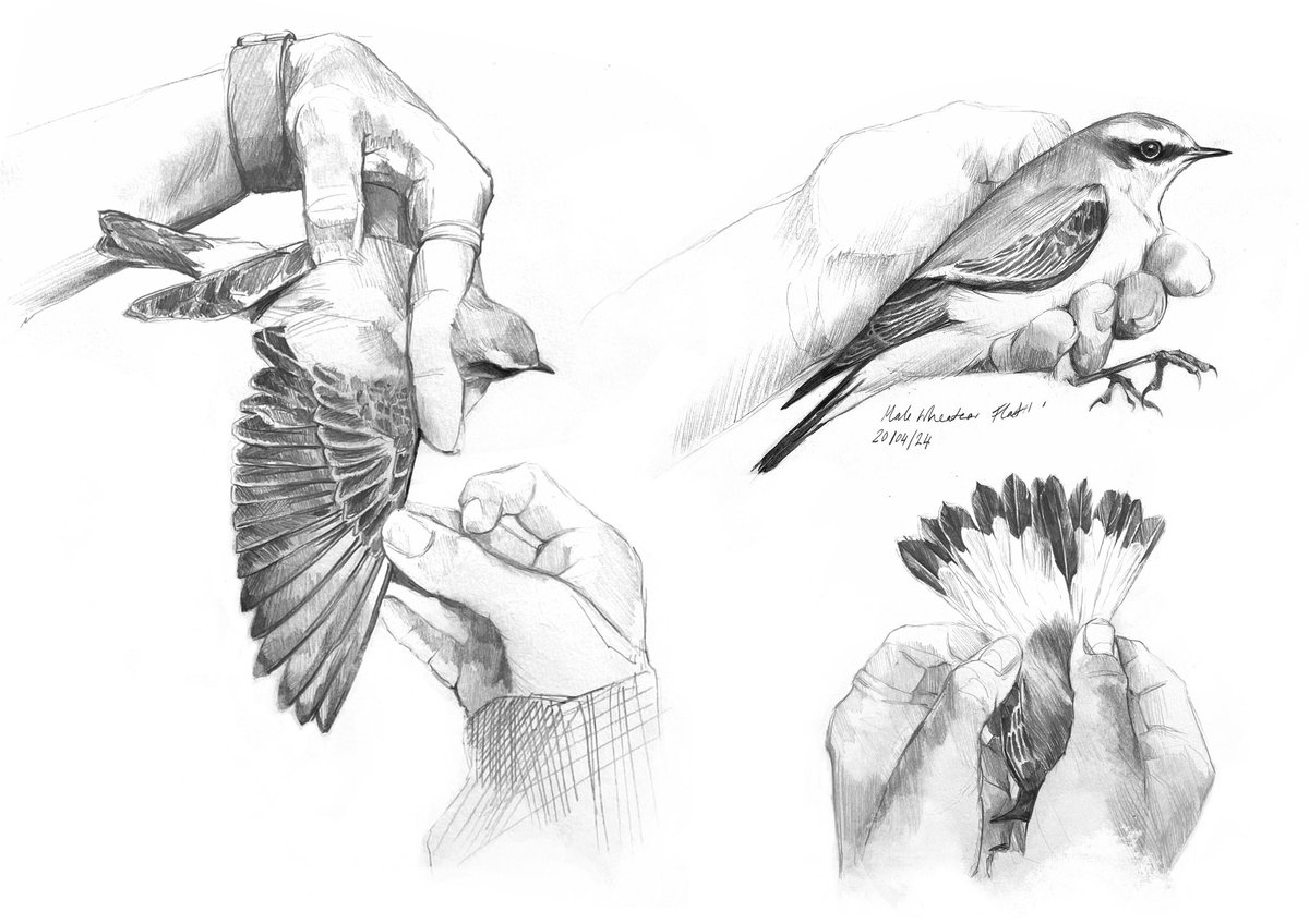 Annie Booker tweet media