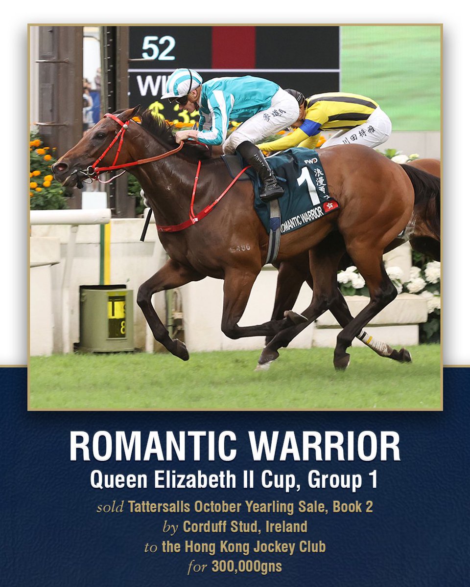 🤩 The phenomenal Romantic Warrior won a seventh Group 1 in @HKJC_Racing’s Gr.1 Queen Elizabeth II Cup, his third win in the race. He was bought by the Hong Kong Jockey Club for 300,000gns from @henmichael’s Corduff Stud at #TattsOctober Book 2.