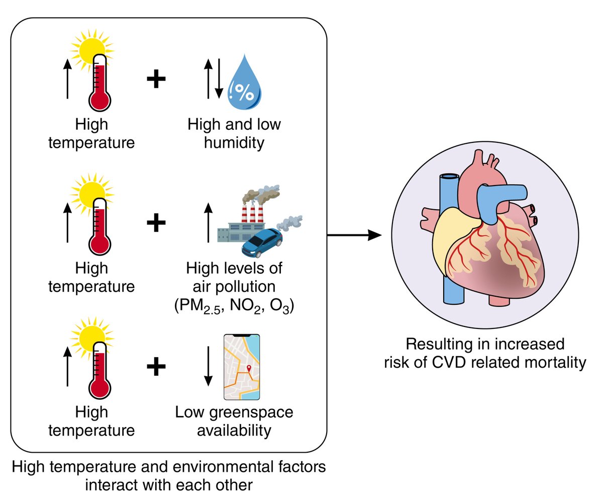 @CircRes #Environmental Impacts on #Cardiovascular Health and #Biology Compendium Alert! #Heat and #CV Mortality: An Epidemiological Perspective ahajournals.org/doi/10.1161/CI… Authored by N Singh, AT Areal, S Breitner, S Zhang, S Agewall, T Schikowski and @SchneiderAlex7.