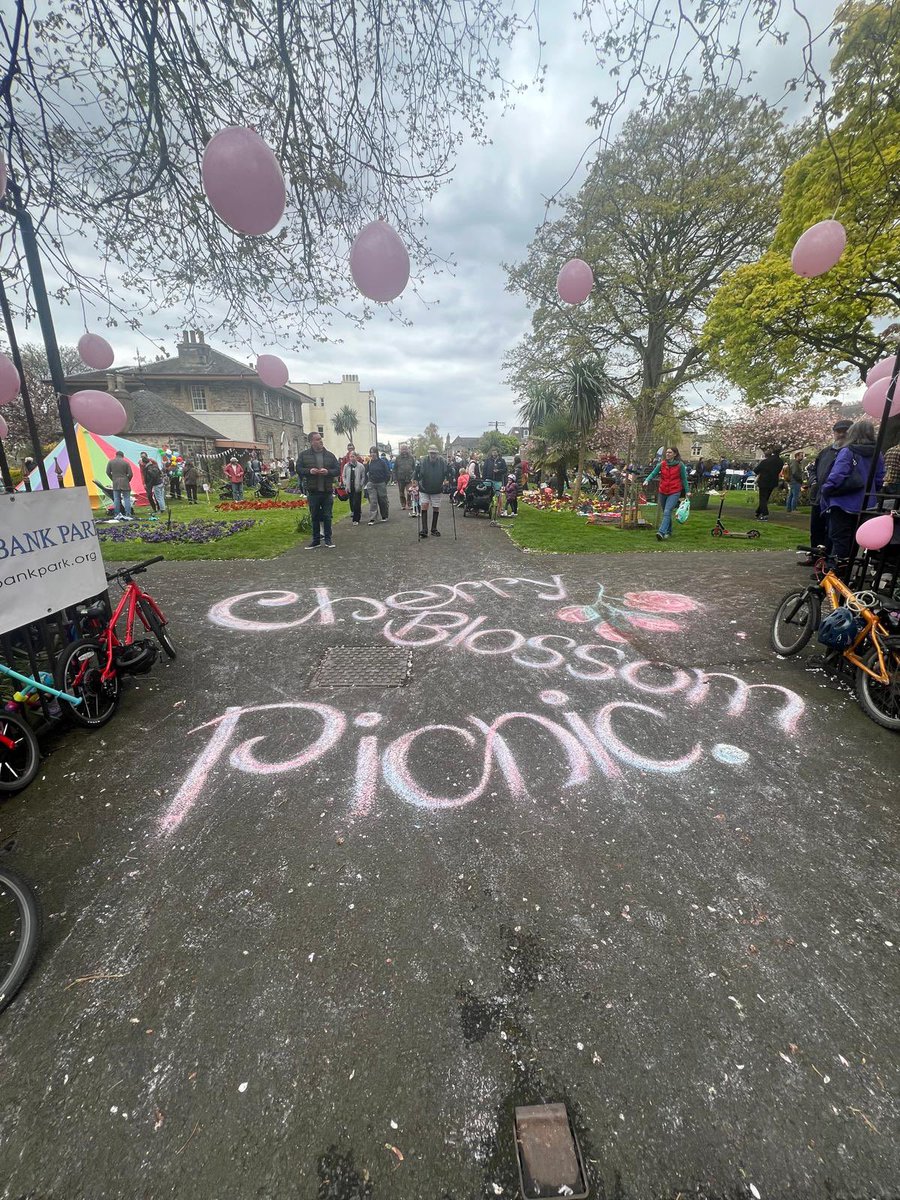 StarbankPark's tweet image. A fantastic afternoon enjoying the Cherry Blossom @StarbankPark. A huge thank you to the amazing @EdinburghBrass who played the most amazing music. Thanks also to all our dedicated volunteers who made the event possible. #Hanami #Cherryblossom2024 #Communitypark