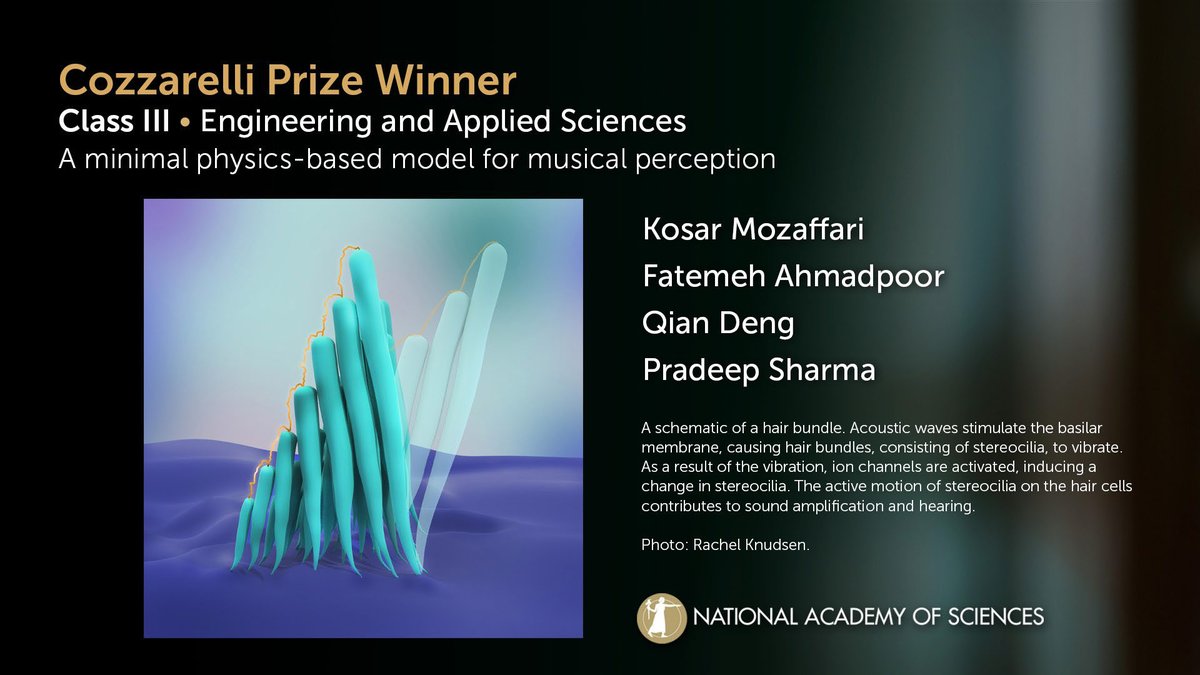 Congratulations to the authors of 'A minimal physics-based model for musical perception,' the Cozzarelli Prize-winning paper for Class III! #NASaward #NAS161 #physics @PNASNews

Read the paper here: ow.ly/b28q50Rqec4