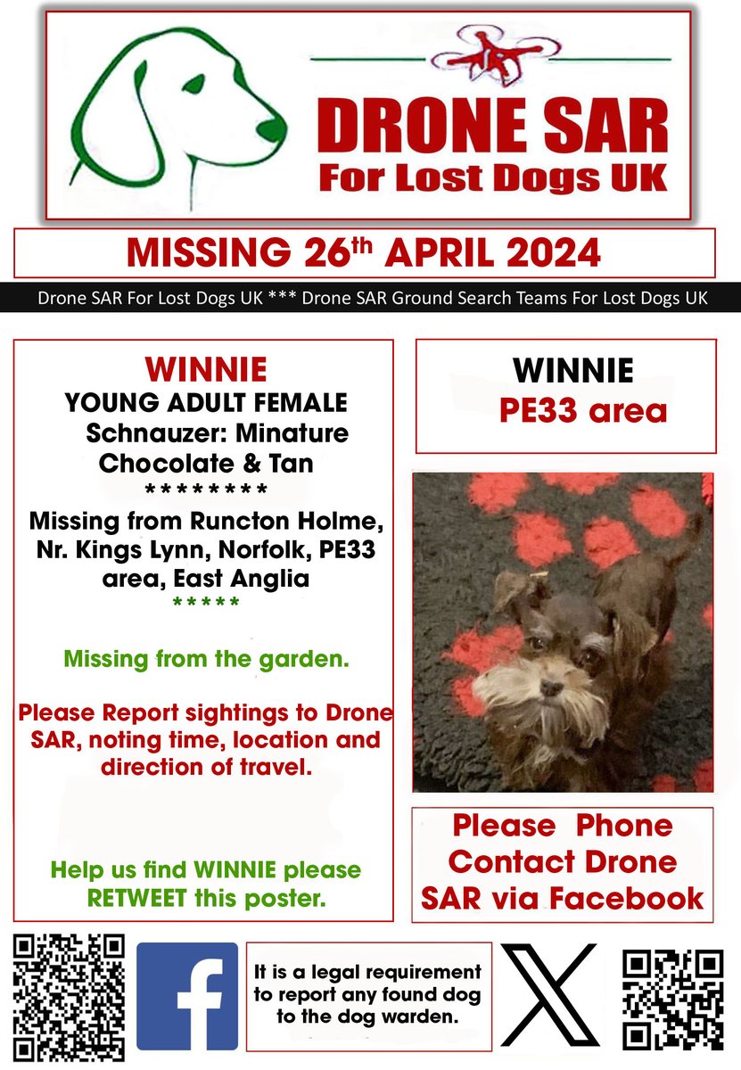 #LostDog #Alert WINNIE
Female Schnauzer: Minature Chocolate & Tan (Age: Puppy)
Missing from Runcton Holme, Nr. Kings Lynn, Norfolk, PE33 area, East Anglia on Friday, 26th April 2024 #DroneSAR #MissingDog