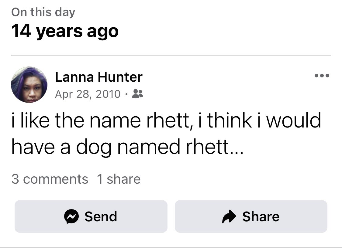 lannabee's tweet photo. @Mythical @rhettmc my annual reminder that I think “Rhett” is a good name for a dog. https://t.co/lRJbUg4hPx