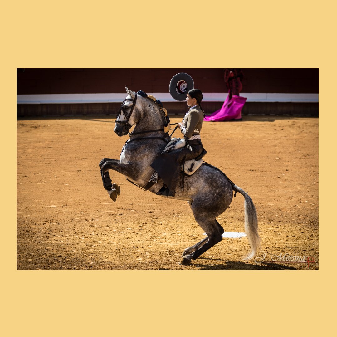 Meet Léa Vicens. Not a matadora, but a rejoneadora (bullfighter on a horse).

Headed to #Spain to watch her performance as part of research for #LasMatadoras.

¡Vamos! Photos courtesy of Lea Vicens.
#documentary #womenmakemovies #bullfighting #bullfighters