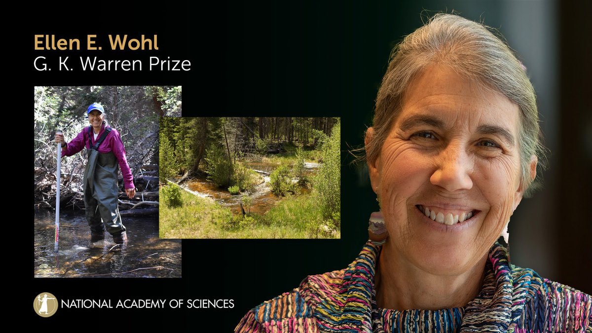 Accepting the 2024 G. K. Warren Prize is Ellen E. Wohl of @ColoradoStateU for her extensive and insightful contributions to rivers’ geomorphology. #geology  #NAS161 #NASaward

Watch live: ow.ly/yOwB50Rqeku