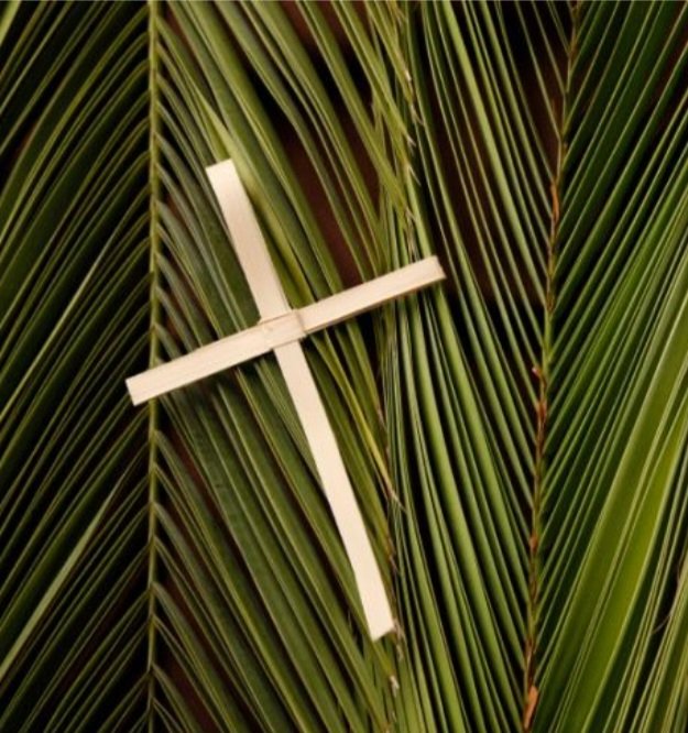 🇬🇷 Happy Hellenic Orthodox Palm Sunday to my family & friends 🇬🇷 Ready for the renewal & rebirth of my mindset! Peace of Mind & HEALTH is all I wish for everyone 🙏🏽