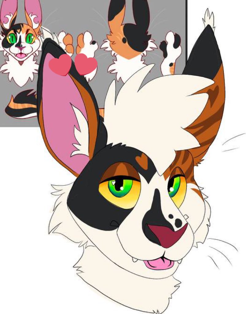 It’s time for another premade, Cabbit edition! Designed by @pinkk_twinkk and going to be made with a @DvC_Ciara drekkubus base!