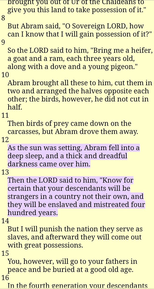 Genesis 15 : 12-13 👇🏾👇🏾

Tell me again which middle Eastern people were slaves for 400 years?

None?

Alright then... How about those Caucasians living in Israel right now?

No?🤔

Now ask yourself who are the real descendants of Abraham
