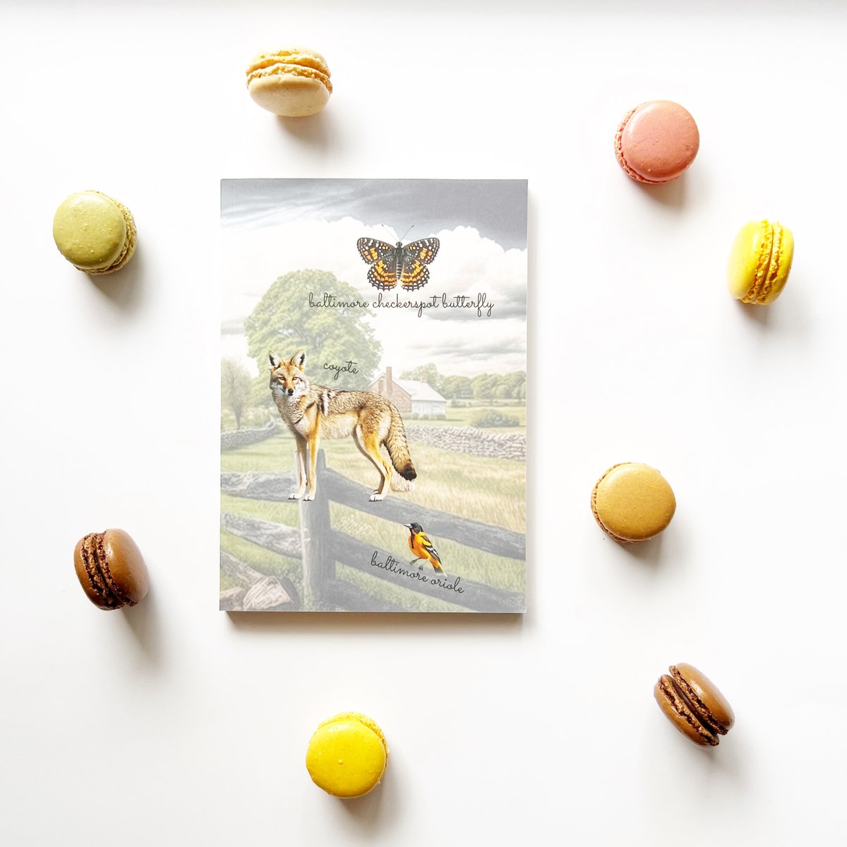 jomadalex's tweet photo. 🌾 Discover the Wild Side of Maryland - 🌲 Coyote Charm, 🦋 Baltimore Checkerspot Butterfly, 🎶 Baltimore Oriole's Serenade, 🎣 Striped Bass Stories, 🌿 Weasel Wonders, 🐢 Diamondback Terrapin Treasures, 🌲 Porcupine's Quiet Roam. Shop here: https://t.co/4eukOZH0KF https://t.co/vQLK9mmGDF