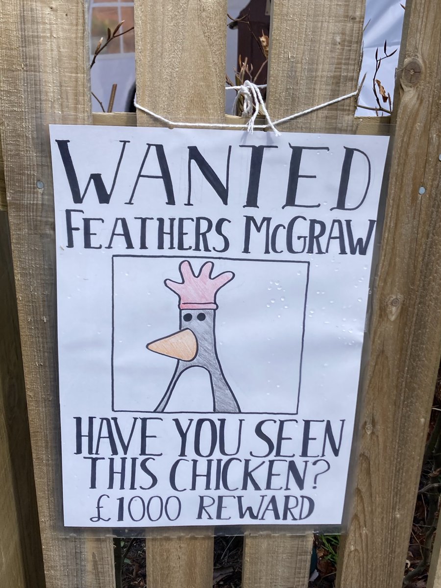 Karen Edwards tweet media