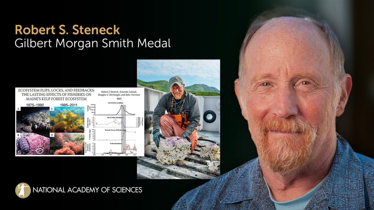 Accepting the 2024 Gilbert Morgan Smith Medal is Robert S. Steneck of @UMaine for advancing understanding and conservation of marine ecosystems. #marinebiology #oceanography #NAS161 #NASaward Watch live: ow.ly/hcpP50Rqel6