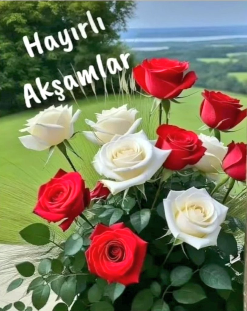 #SelamûnAleyküm Türkiyem 🙋‍♂️🇹🇷 #MutluHaftaSonları🌹 #HayırlıAkşamlar 🌹 #Pazar 🌹 ☝️Lâ İlahe İllallah Muhammeden Resulallah..🌹 🌹Allahümme Salli ala Seyyidina Muhammed ve ala ali Seyyidina Muhammed (S.A.V.)🌹