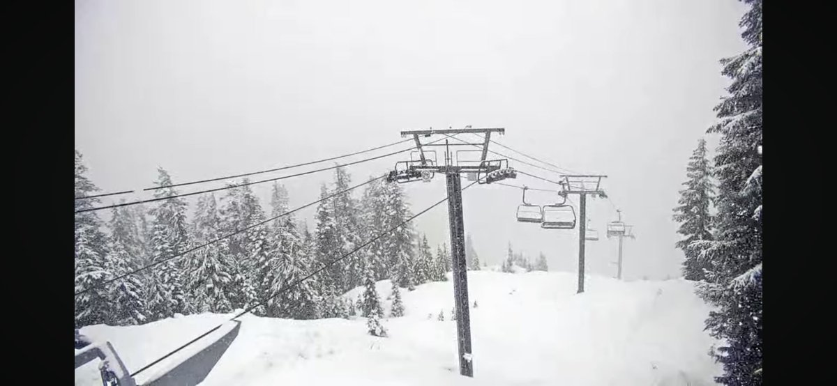 UPDATE: Fat flakes with more accumulation now. Snow now down at the plaza near 1000m too. #BCsnow here’s the camera of cypress: 
youtube.com/live/GTQQdQ8VV…
