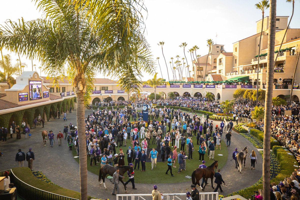 Golden hour is better at the #BreedersCup! 🤩 ☀️ Get your tickets to #BC24 at @delmarracing today: breederscup.com/tickets 📸 : @eclipsesports