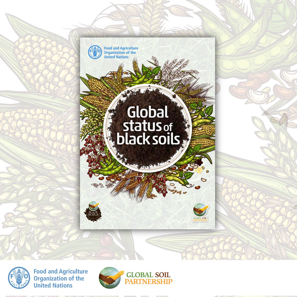 #BlackSoils are among the most fertile soils in the 🌏🌍🌎 and critical for mitigation & adaptation to #ClimateChange But this black treasure is under threat‼️#SoilHealth #GlobalSoilPartnership #SoilAction Read the global status to learn more ➡️ doi.org/10.4060/cc3124…