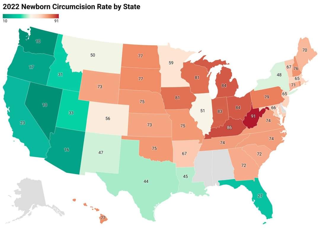 Newborn circumcision rates by state - 2022