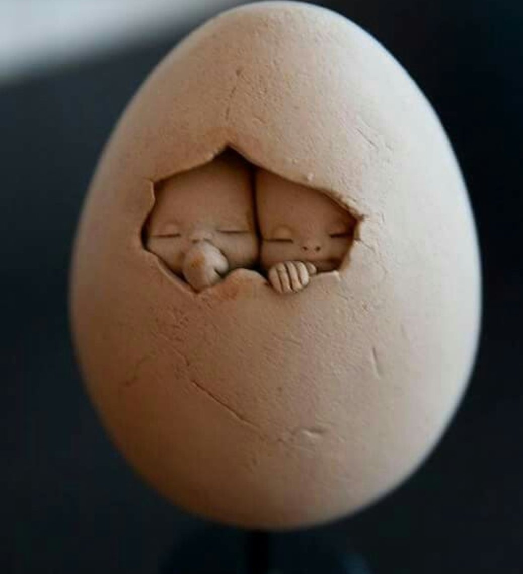 Hens have also started hatching twins