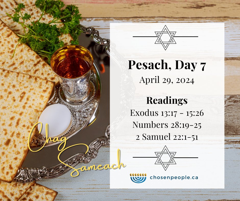 Chag Pesach!  Happy Passover!  #pesach #passover #lambofgod #Yeshua #chosenpeople #Messiah #Messianic
