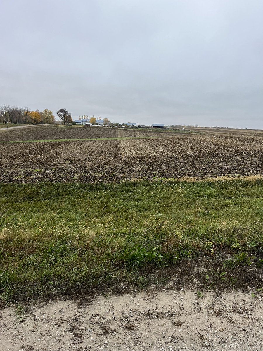 Aaron van dyke tweet media