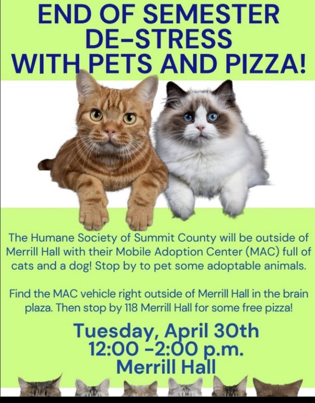 Cat at Merrill Hall this coming Tuesday lunch time!!! 🐈🐈‍⬛😻
