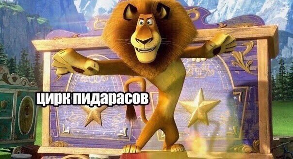 evilknowsalie's tweet photo. Енот когда стебет жюри:
#маска https://t.co/dmSmR9qcs5
