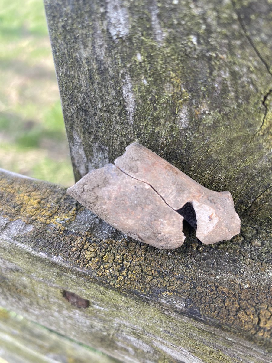 Found about 25cms below ground when I was digging up a lost mole trap on our bottom fell.  What are the chances?