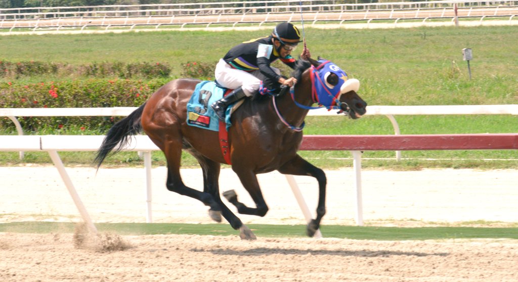 Haras La Primavera🇻🇪🏆 (@hlaprimavera19) on Twitter photo SHAKMAN🔥🔥🔥SHAKMAN
El hijo del líder semental CHAMPLAIN en la matrona QUEEN ALICE gana de manera extraordinaria con Jean C. Rodríguez, sin dar ventajas obtiene su 4ta victoria bajo el efectivo entrenamiento de <a href="/gmarquez_j/">Gabriel Márquez G⭐M</a> para el Stud Los Cotúas.
#SOMOSLAPRIMAVERA
#HIPISMO SHAKMAN🔥🔥🔥SHAKMAN
El hijo del líder semental CHAMPLAIN en la matrona QUEEN ALICE gana de manera extraordinaria con Jean C. Rodríguez, sin dar ventajas obtiene su 4ta victoria bajo el efectivo entrenamiento de <a href="/gmarquez_j/">Gabriel Márquez G⭐M</a> para el Stud Los Cotúas.
#SOMOSLAPRIMAVERA
#HIPISMO